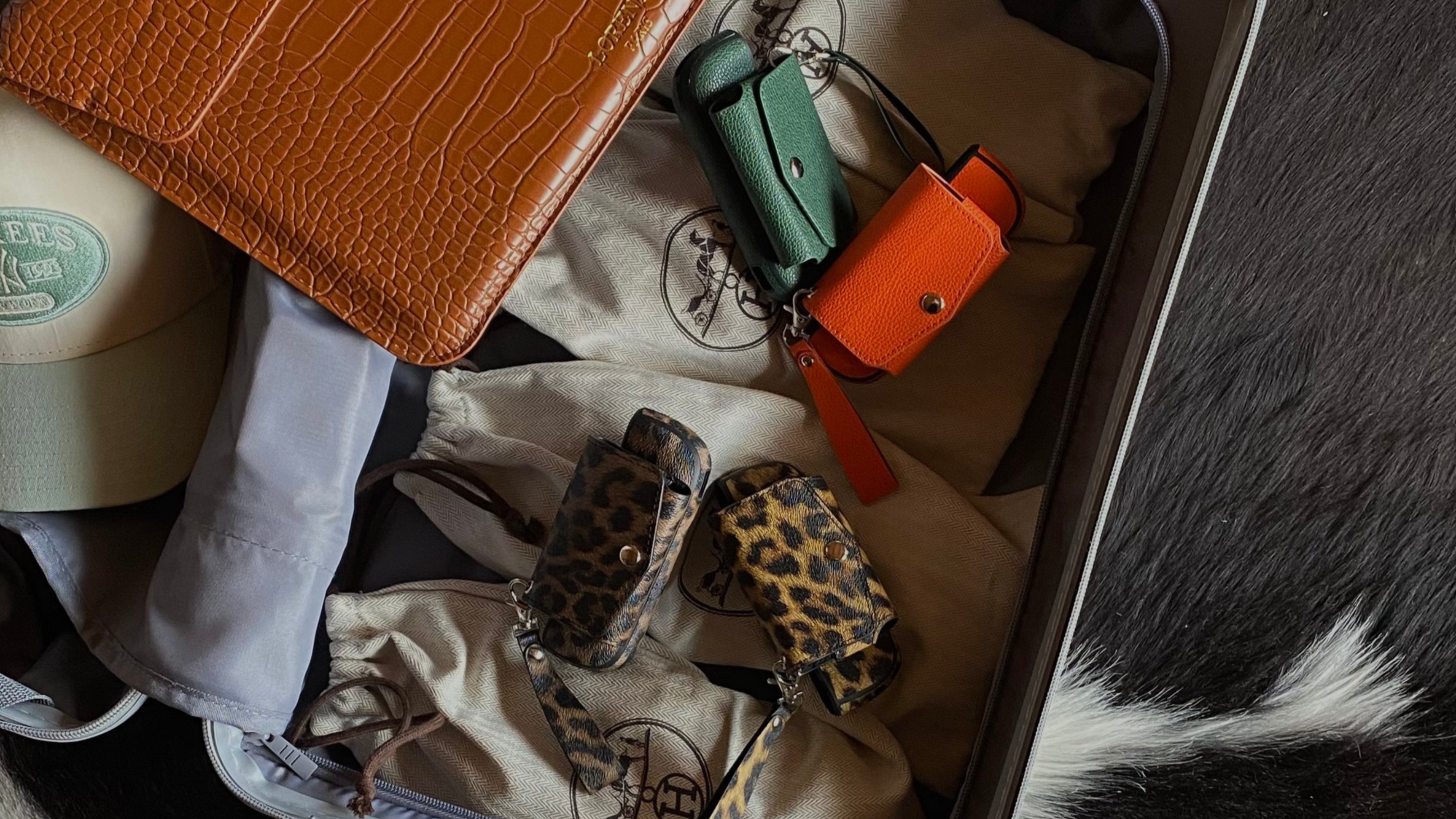 Iluma Holder Sets Explained — Why Two Pieces Are Better Than One