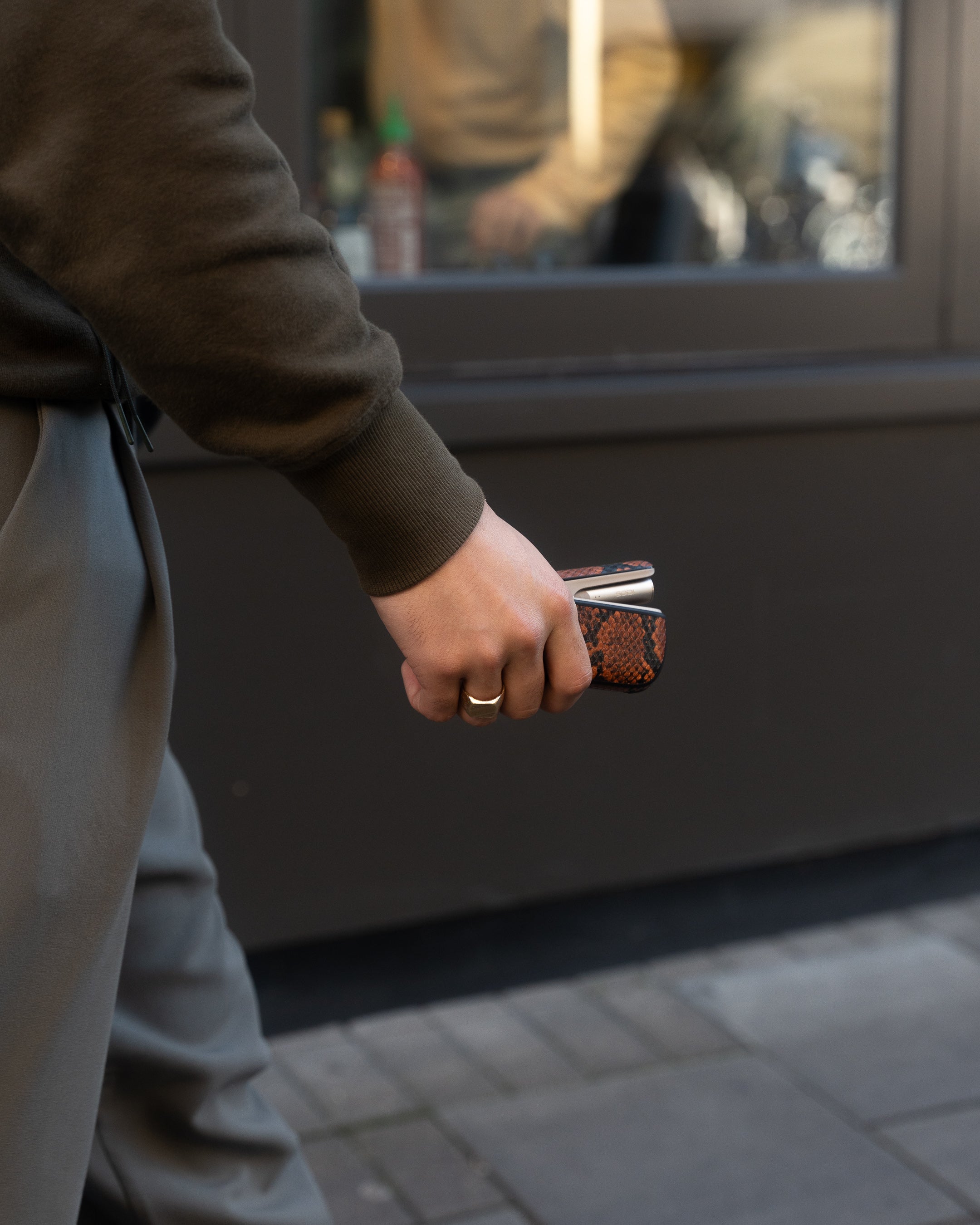 PYTHON BROWN