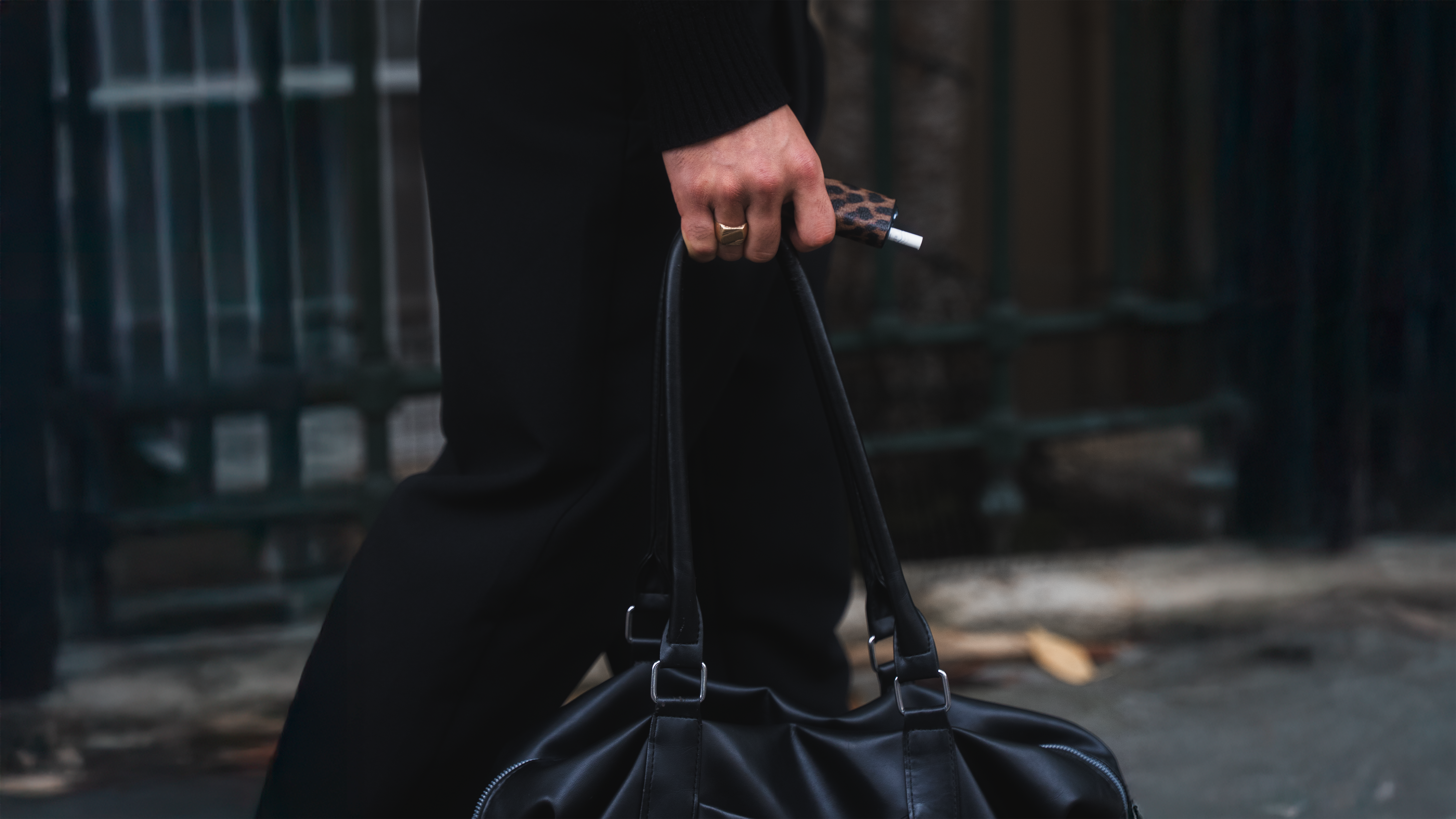 IQOS Iluma one leopard brown case